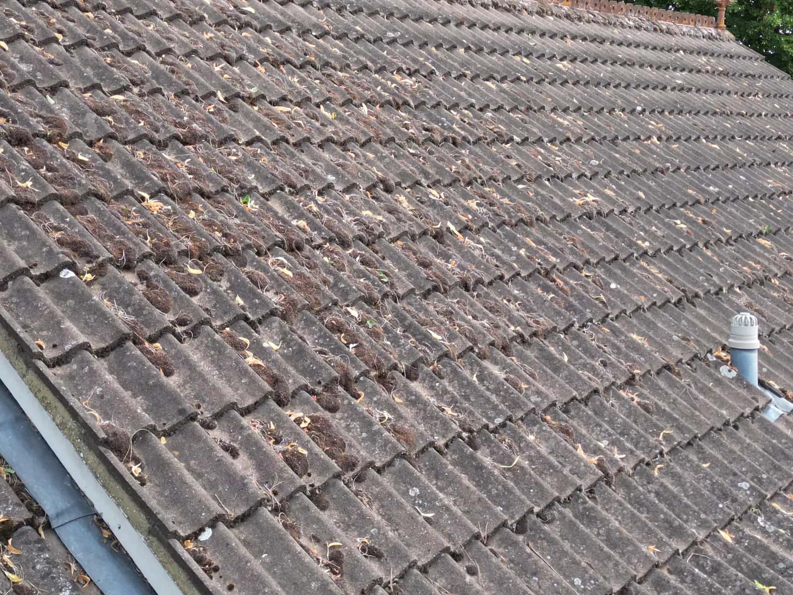 Roof Cleaning in Marlow — before