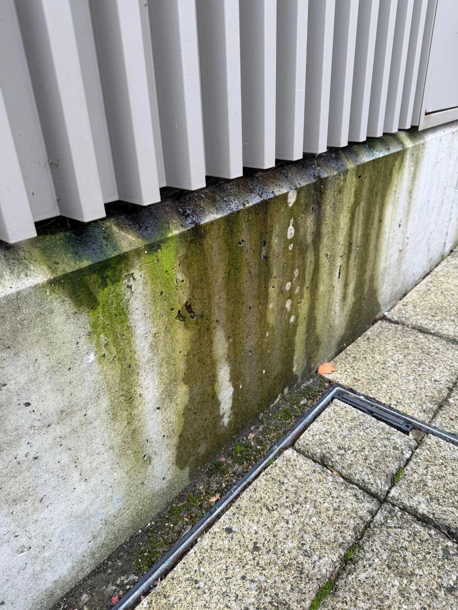 Green algae streaking a concrete plinth beneath aluminium facade fins beside a slot drain and paving