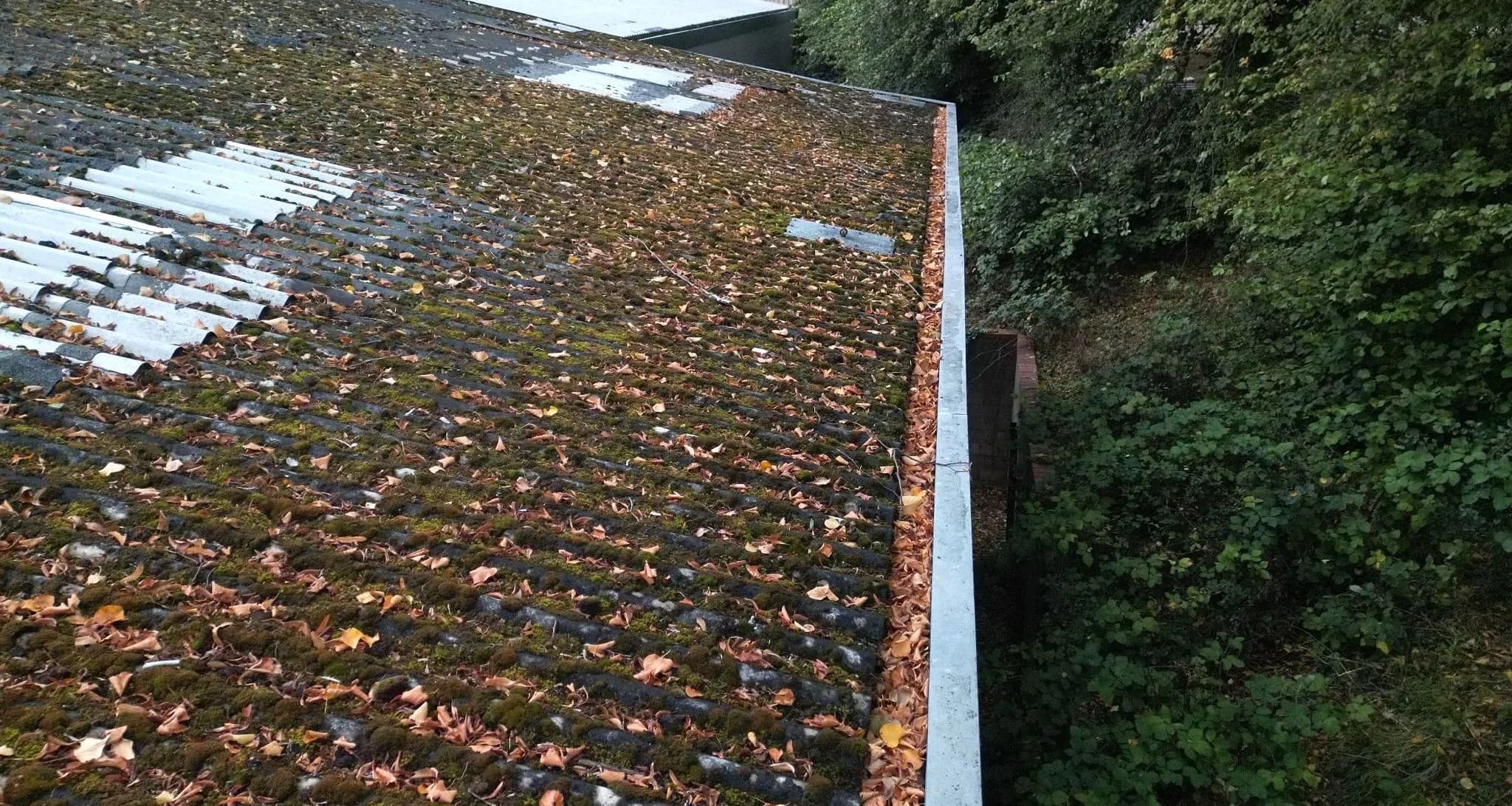 Low drone view along a corrugated industrial roof thick with moss beside a leaf-choked box gutter