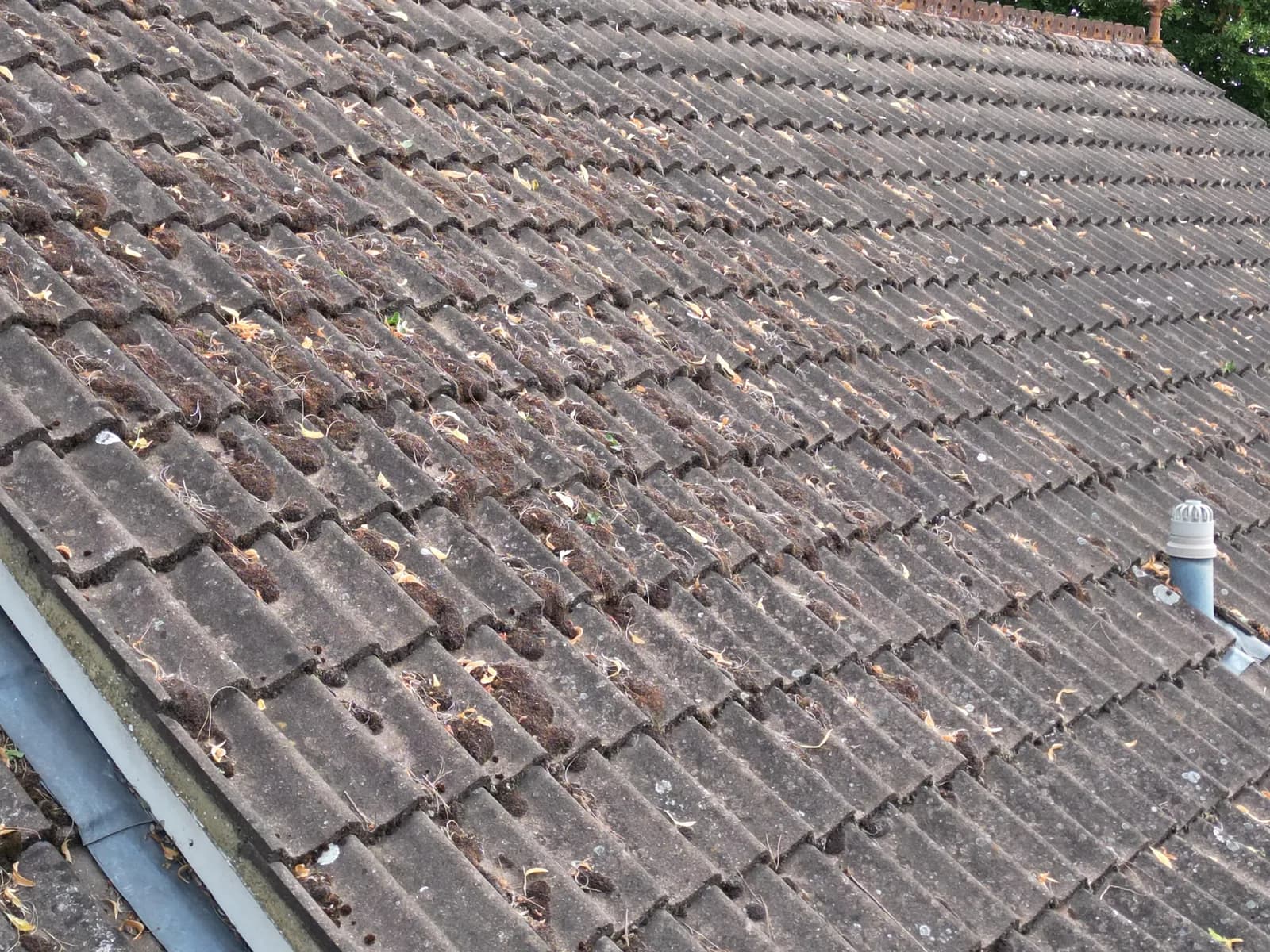 Roof Cleaning in Marlow — before