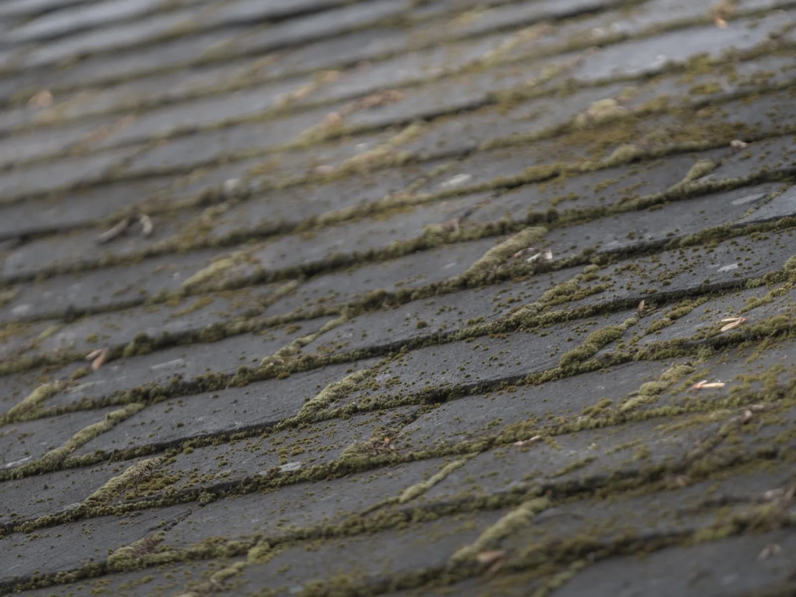 Roof Cleaning in Marlow — before