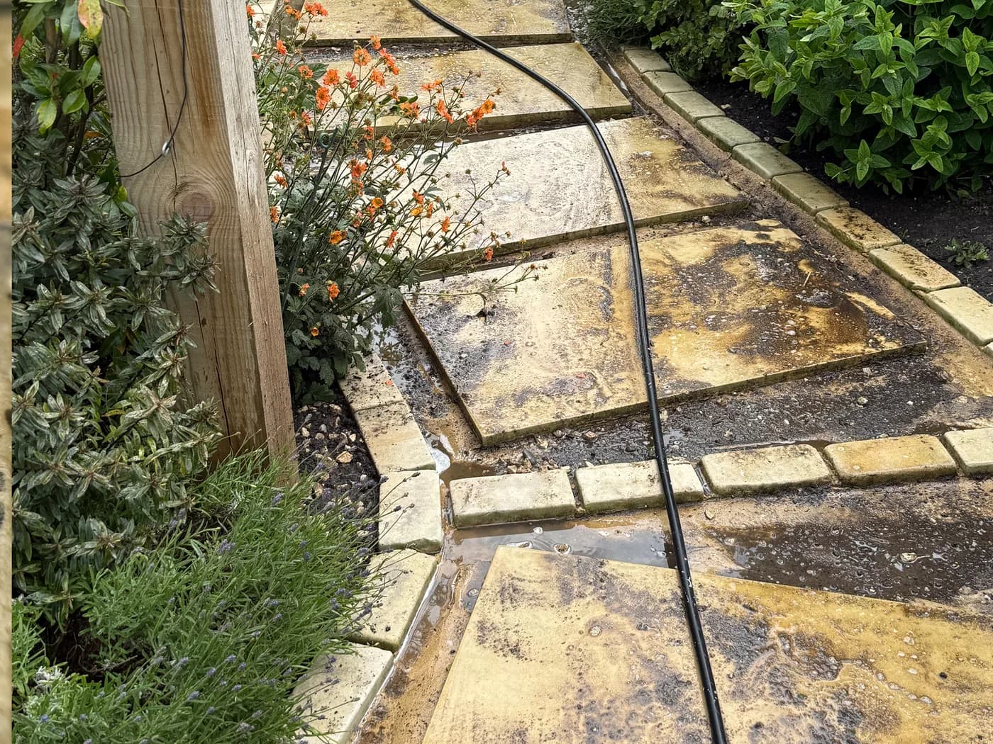 Sandstone Cleaning & Treatment