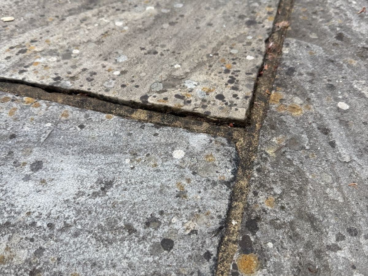 Close-up of black spot lichen growing in the pores of natural stone paving
