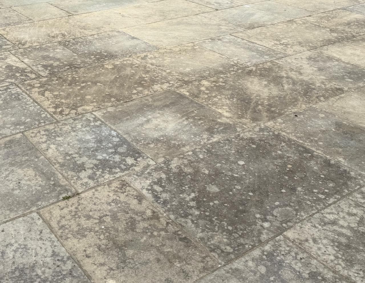 Limestone patio covered in black spot and lichen before professional treatment