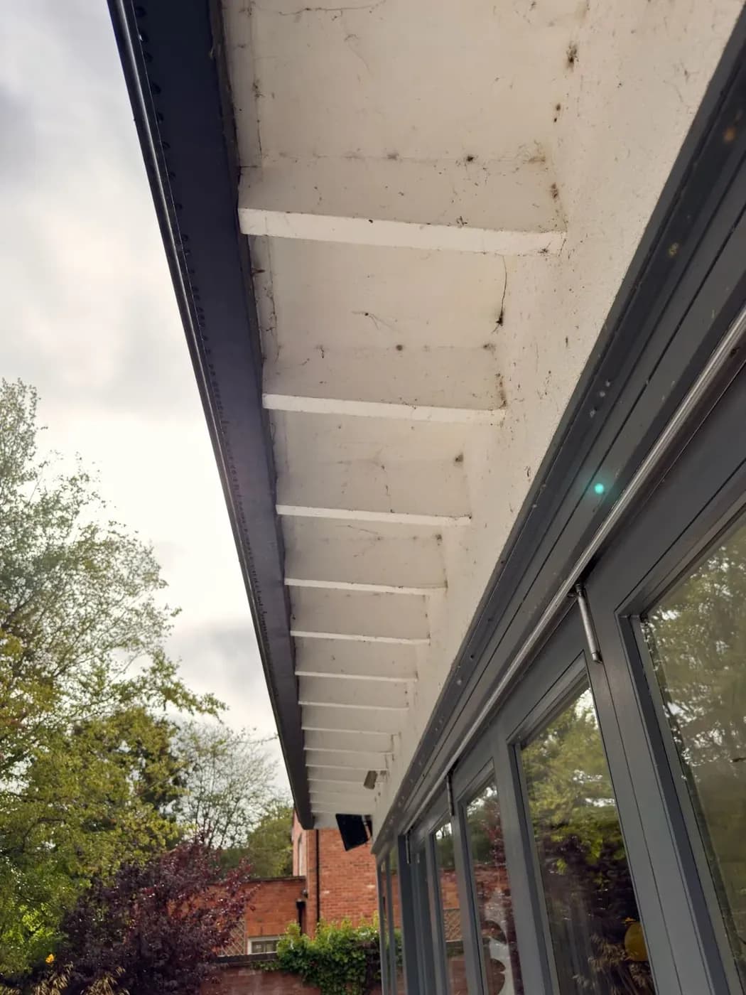 Soffit above rear glazing before soft washing, streaked with grime and cobwebs