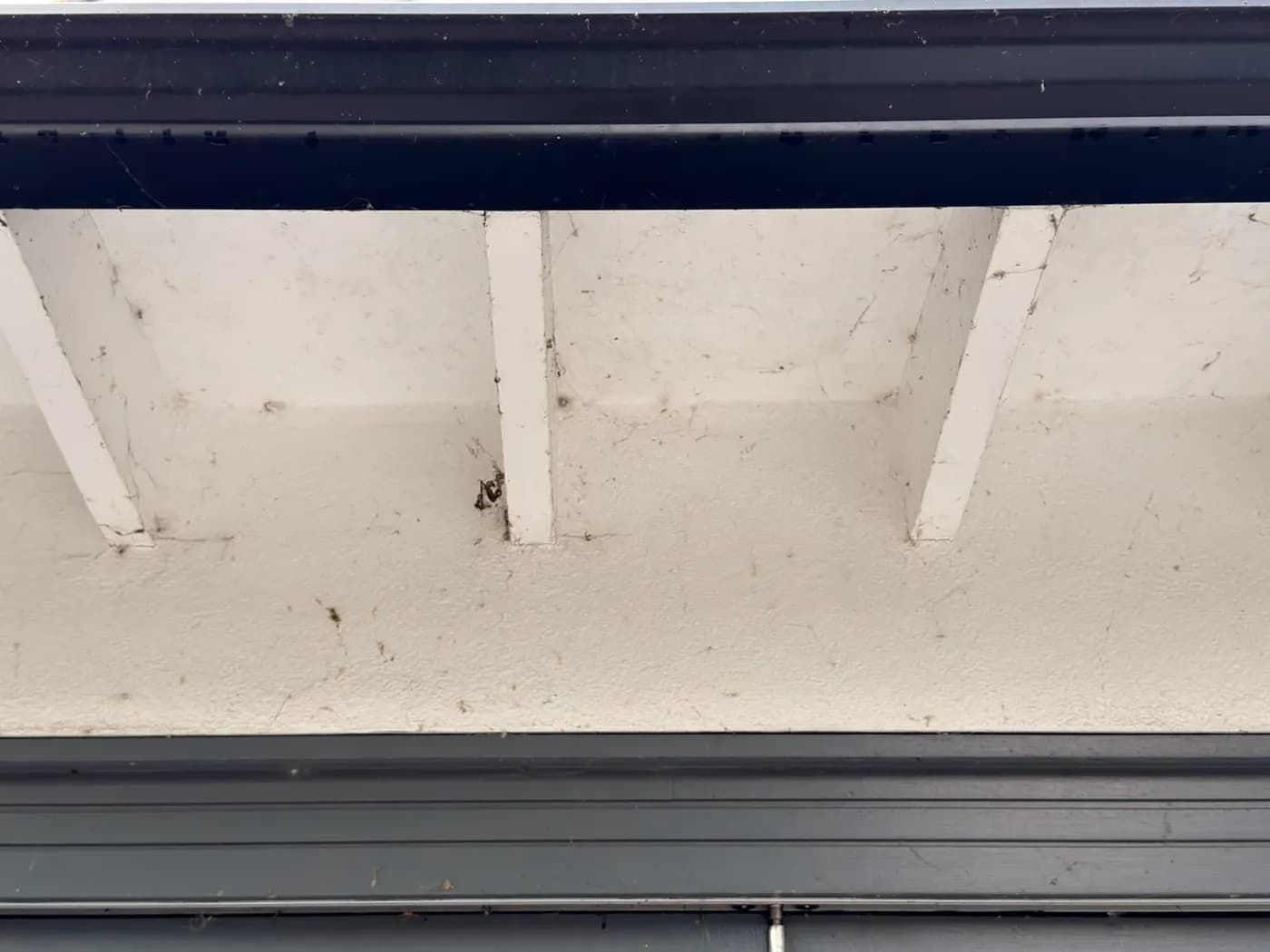 Soffit and fascia before soft wash cleaning, thick with cobwebs and dirt