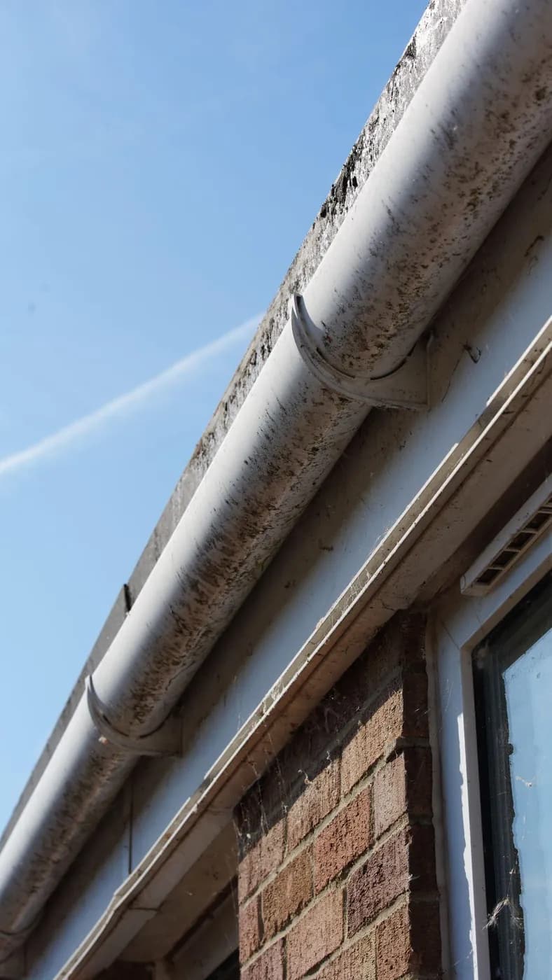 Low-angle view of a white uPVC half-round gutter streaked with green algae, fixed to a fascia above red brickwork