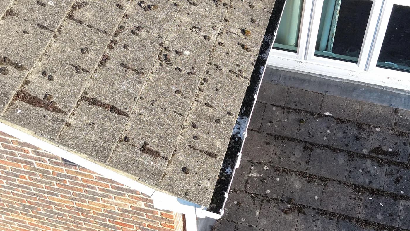 Overhead view of a white gutter packed with moss between a mossy concrete-tiled roof and a lower tiled roof