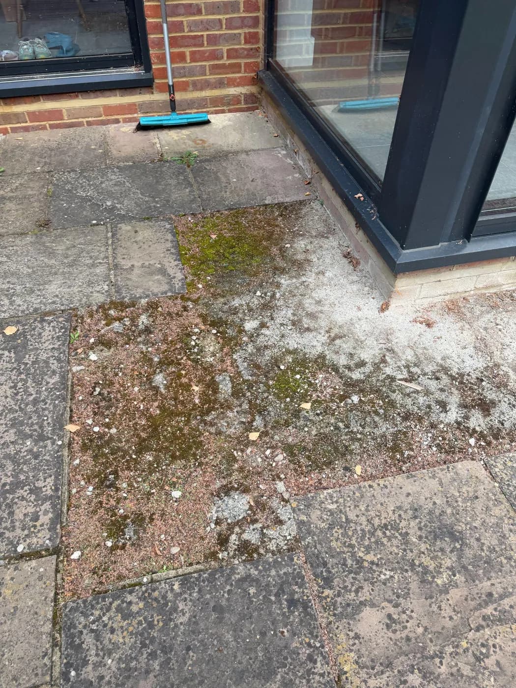 Weathered grey patio slabs speckled with black lichen, moss and grit spreading over the paving by dark-framed glass doors