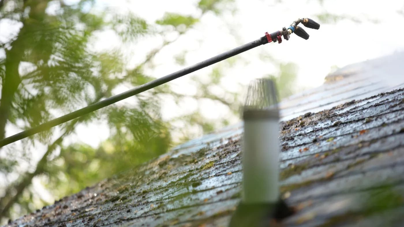Low-angle view of a pole lance with twin nozzles above a wet, mossy tiled roof, a vent pipe and conifer behind