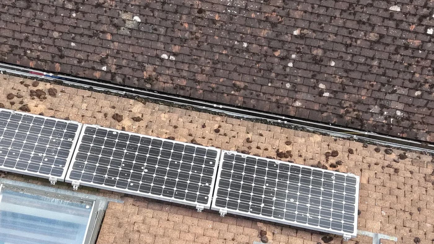 Drone view of solar panels on a clay-tile roof, moss clumps on the tiles and white specks of bird mess on the glass