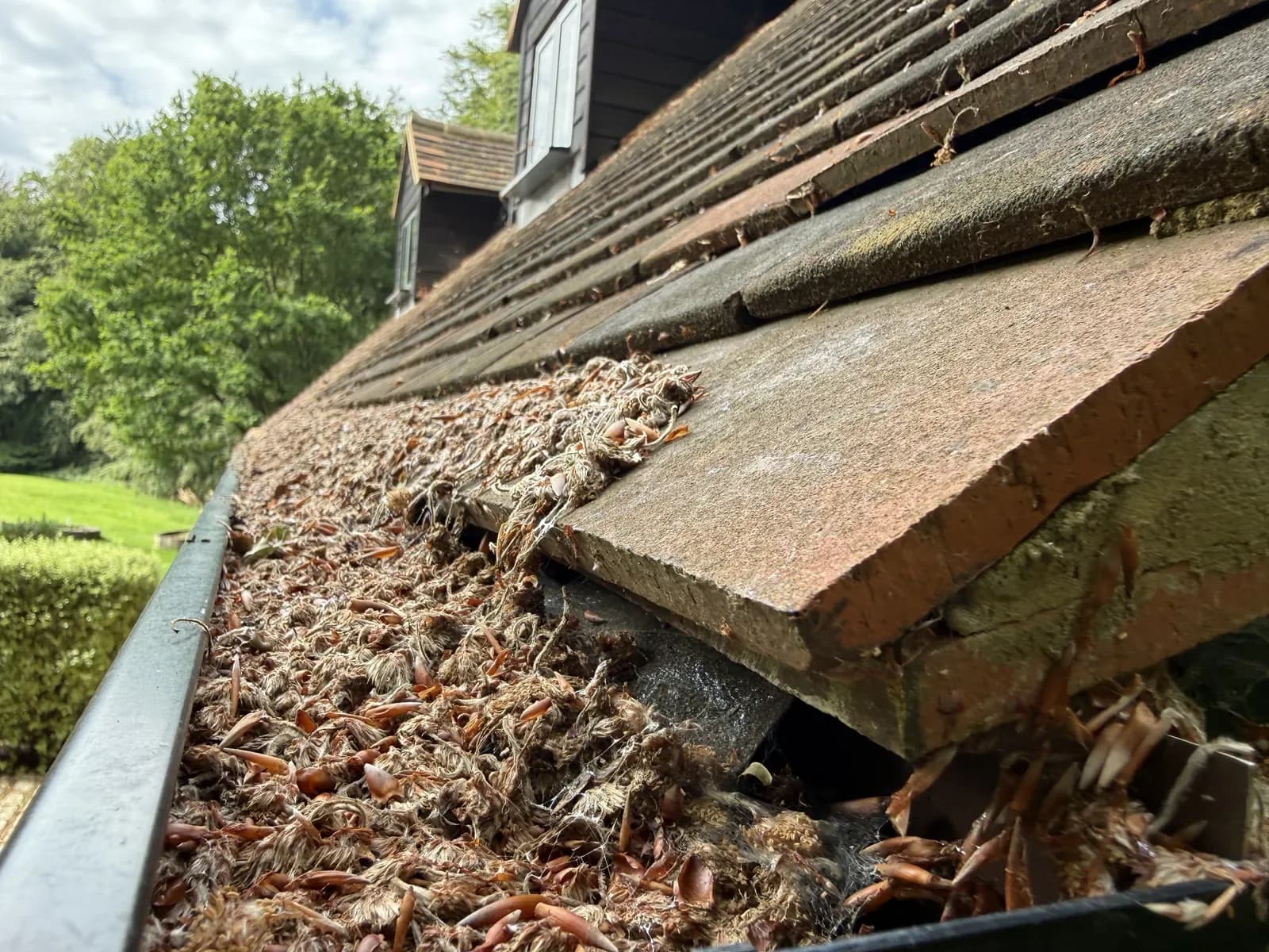 How to Clean Roof Gutters Safely