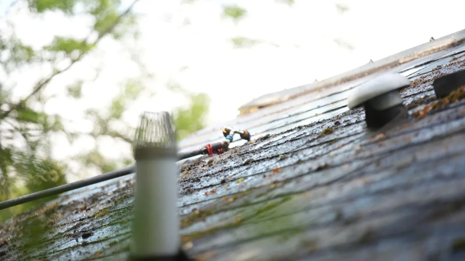 Is Roof Cleaning a Good Idea Before Selling Your House?