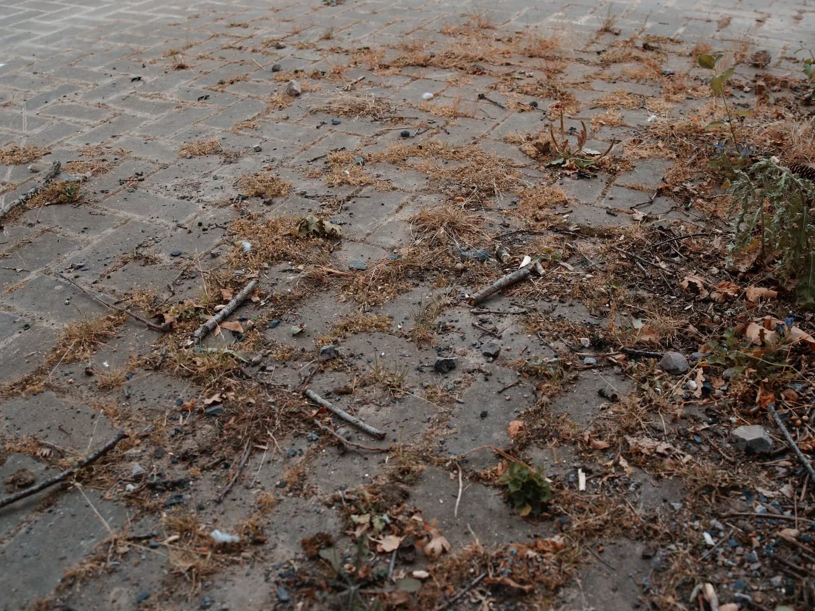How to Clean Block Paving Driveway