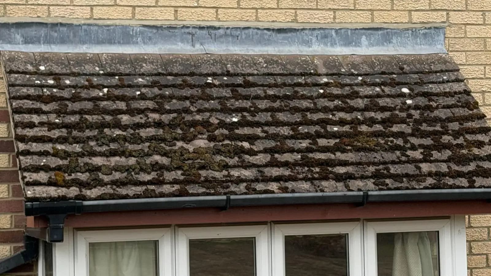 Signs Your Roof Needs Cleaning and When It Does Not
