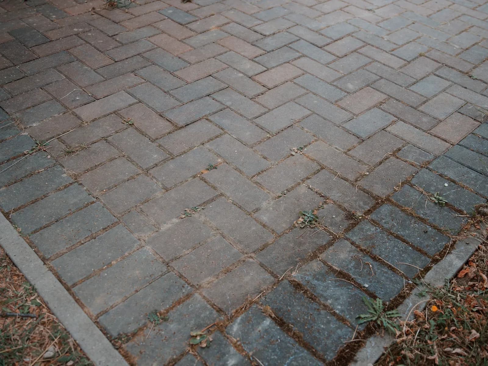 How to Clean Antifreeze Off Driveway