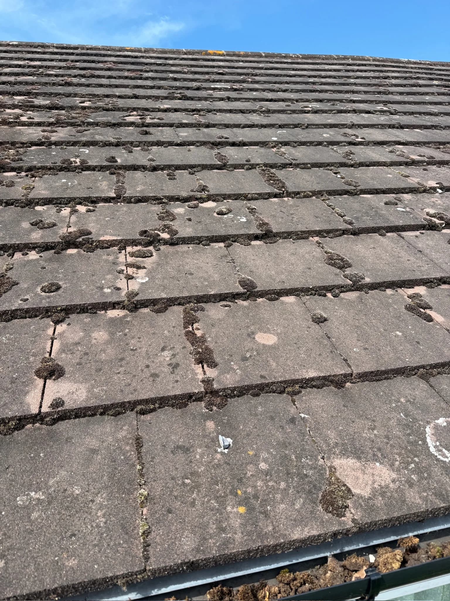 How to Remove Black Algae from Roof