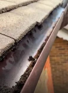 Why Are My Gutters Overflowing