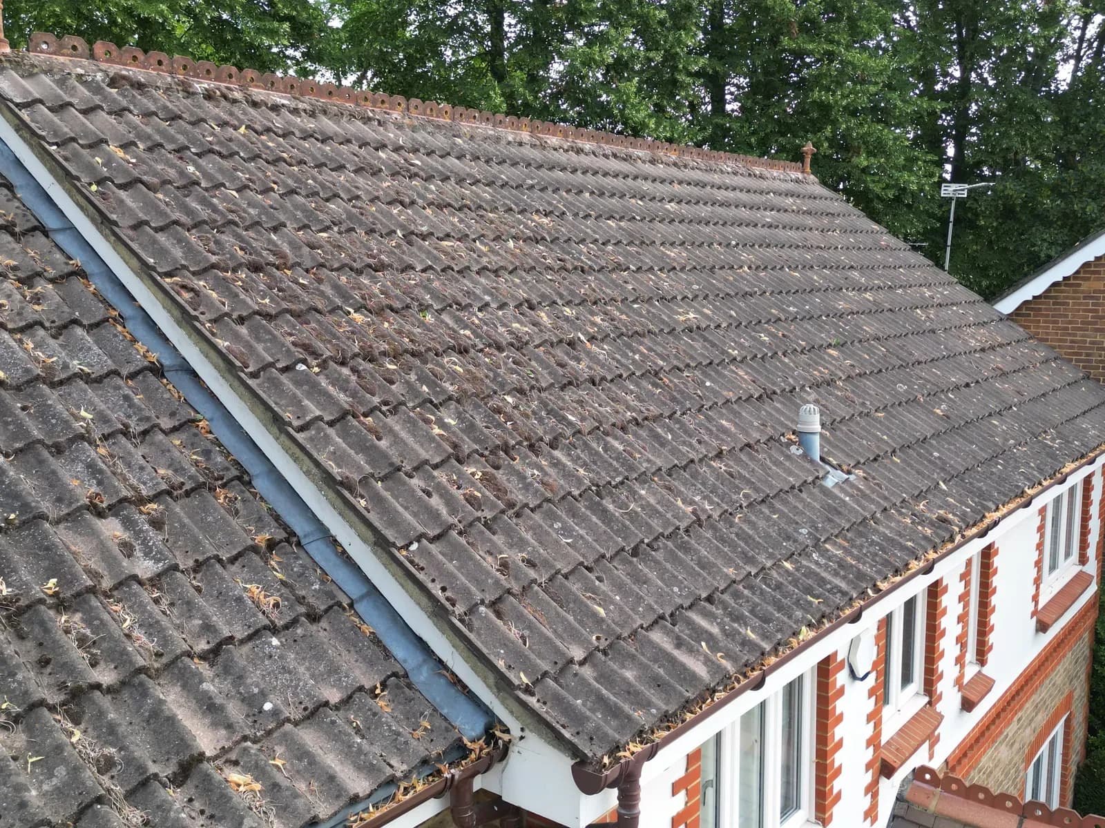 How to Clean a Roof from the Ground