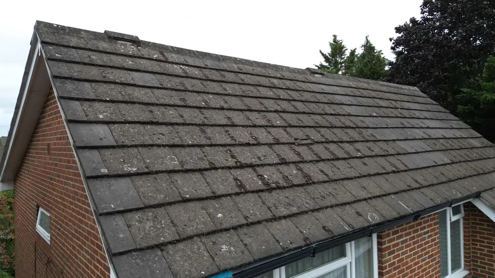 Can Roof Moss Cause Leaks or Damaged Tiles?