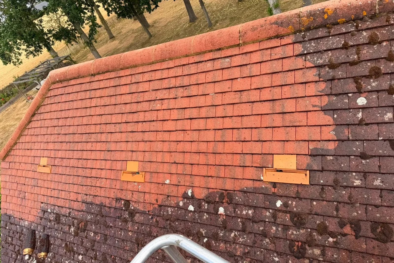 How to Clean Moss Off Roof Safely