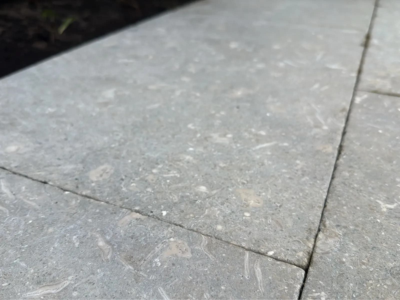 How to Clean Bird Poop Off Patio UK