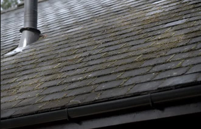 How to Clean Gutter Guards