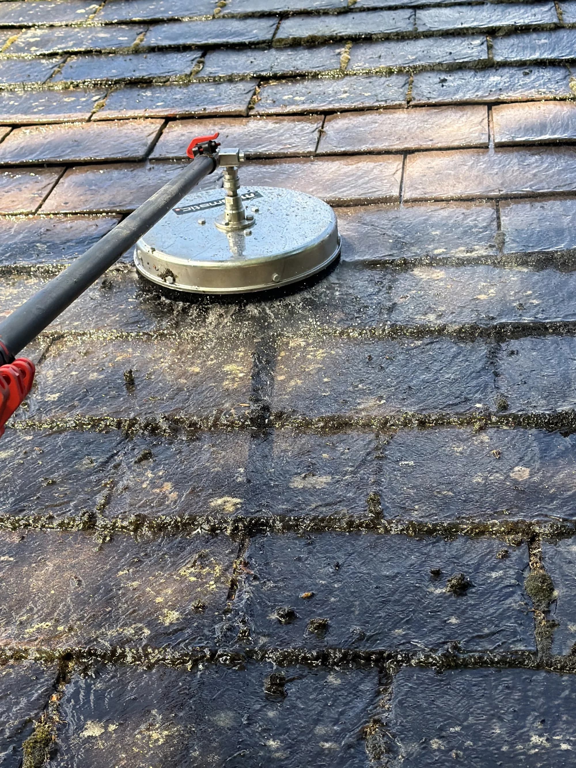 What is Softwash Roof Cleaning