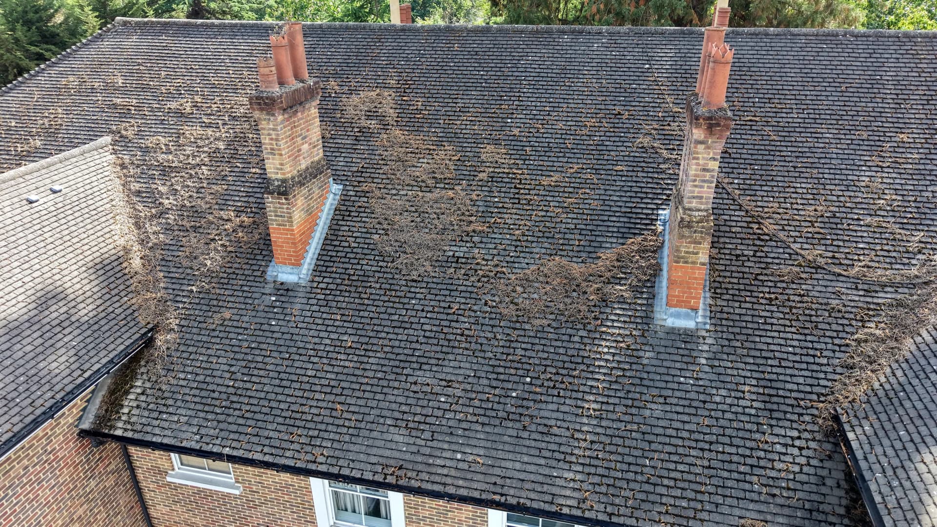 Aerial view of a large dark tiled roof with two chimney stacks, conifer needles and moss debris along the flashings