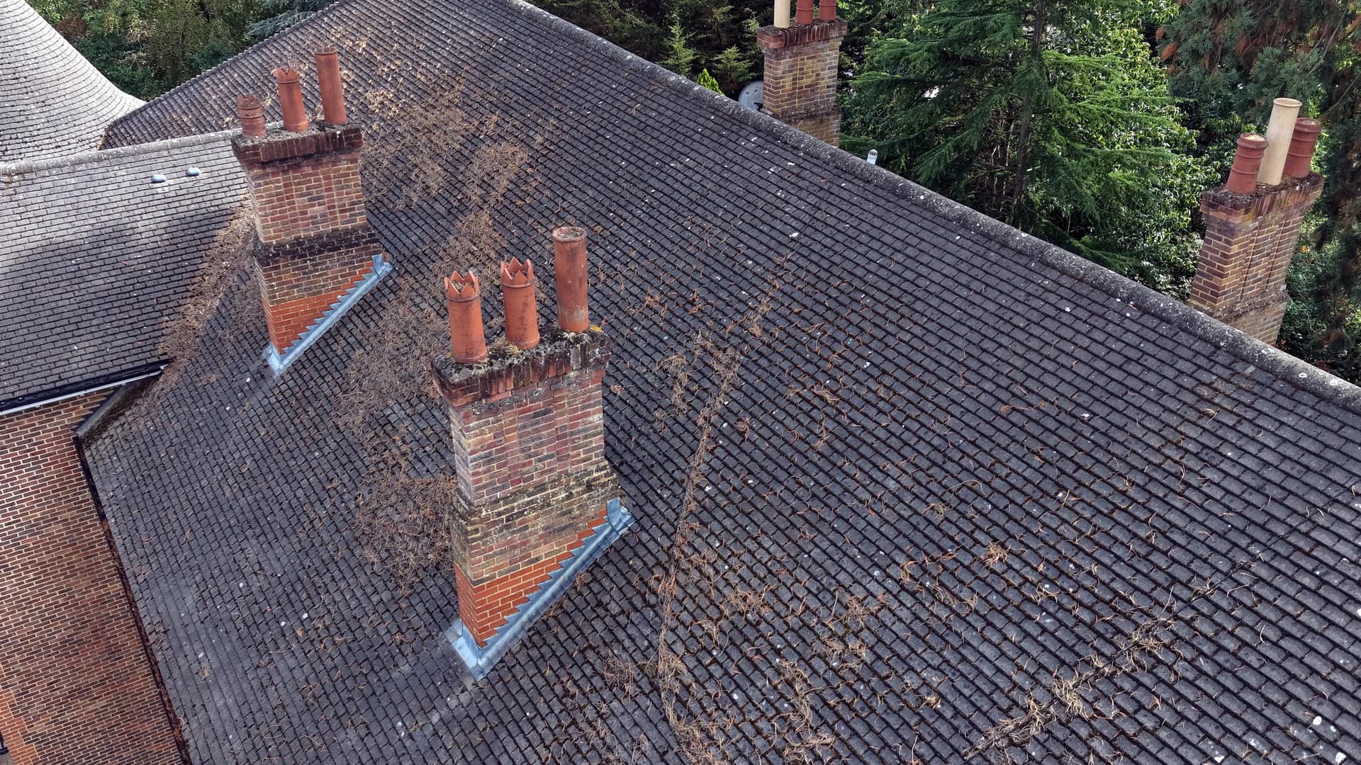 Aerial view of a tiled roof slope with three chimney stacks, needle debris and moss, trees behind