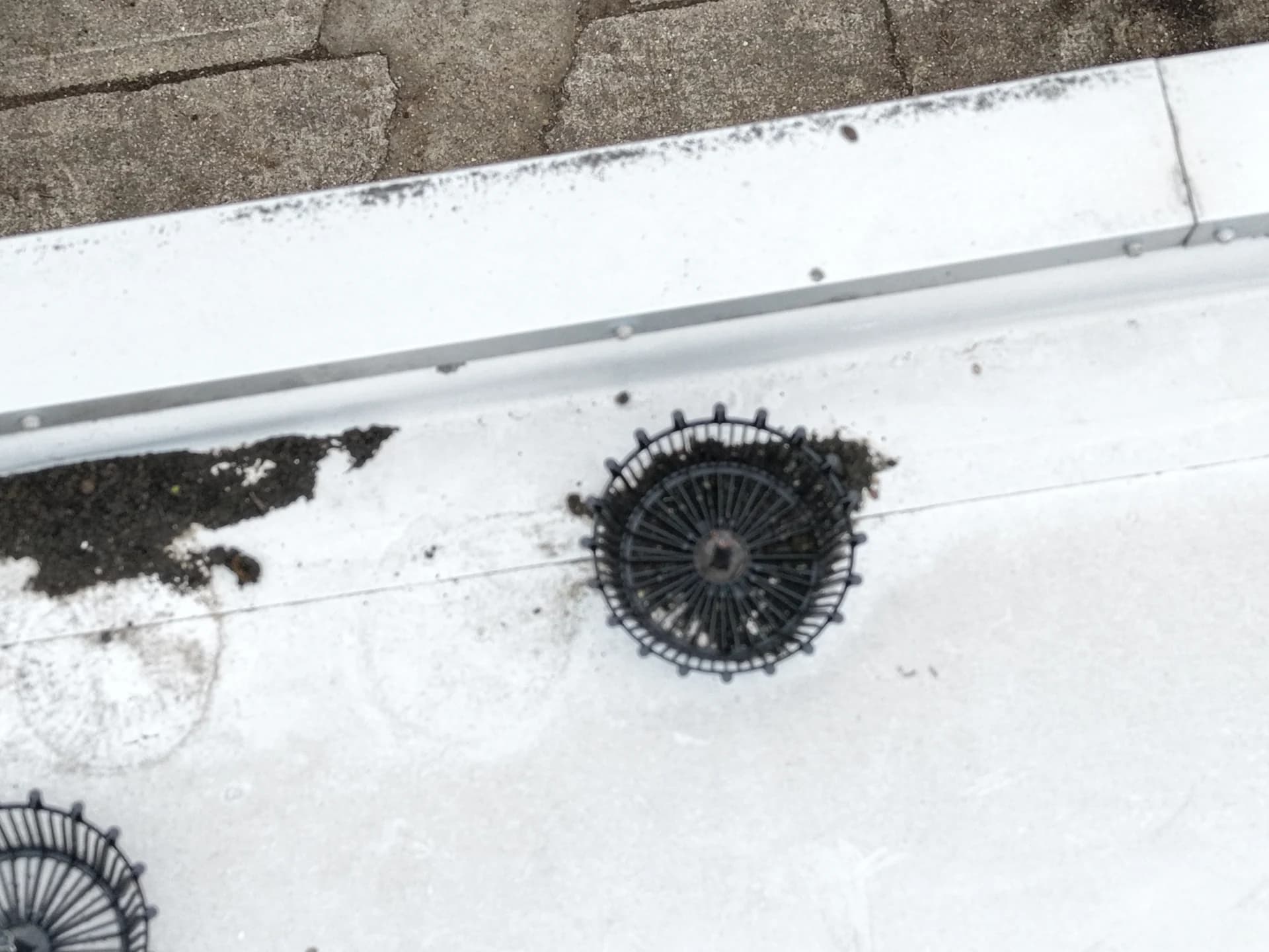 Black leaf-guard domes over roof outlets with debris on a white membrane.