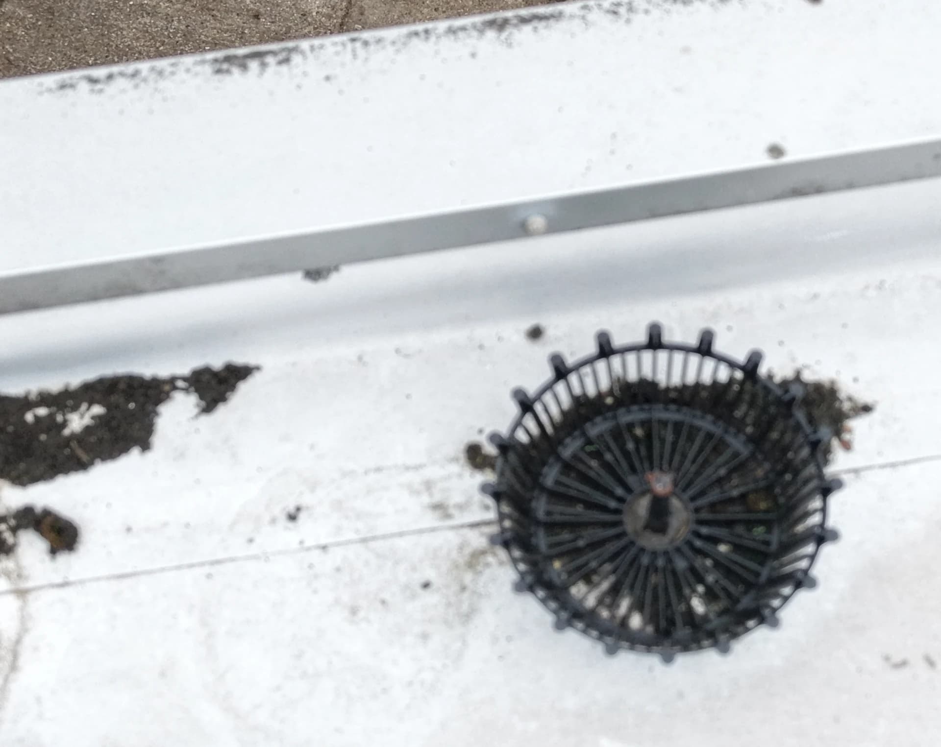 Close aerial view of a black leaf-guard dome on a roof outlet, silt and debris beside the parapet