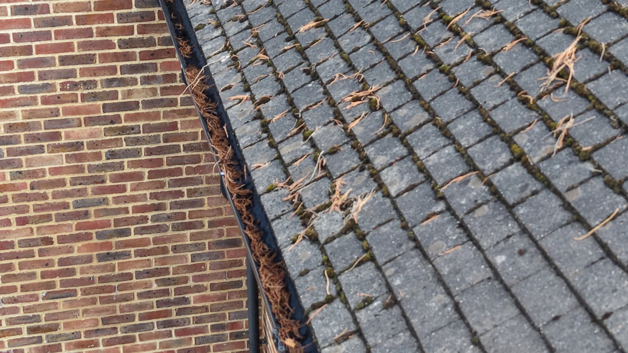 Close aerial view of a brick wall beside a tile edge, with conifer needles packed in the gutter between them