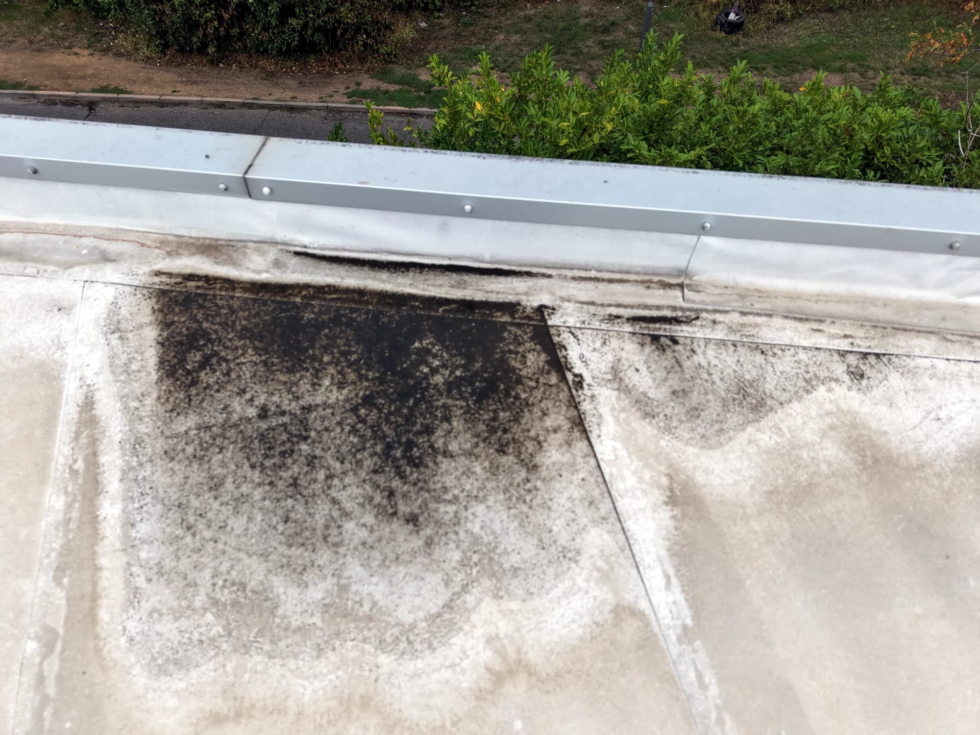 Close aerial view of dark algae and dirt staining on a flat roof membrane against a metal parapet with seam lines