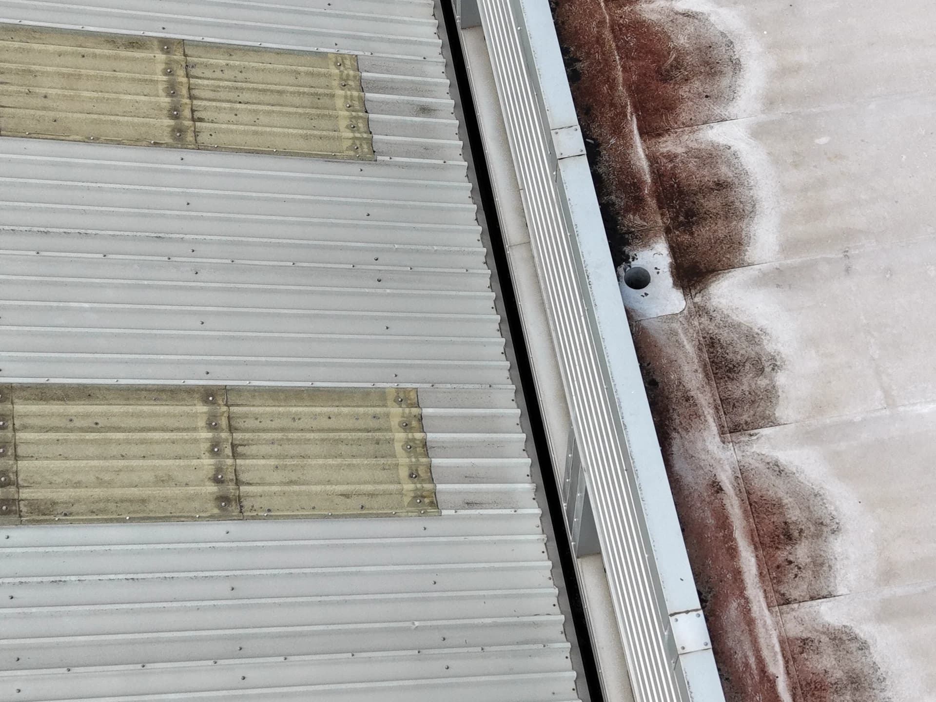 Close aerial view of dark algae staining on a flat roof membrane beside a metal parapet and a roof outlet
