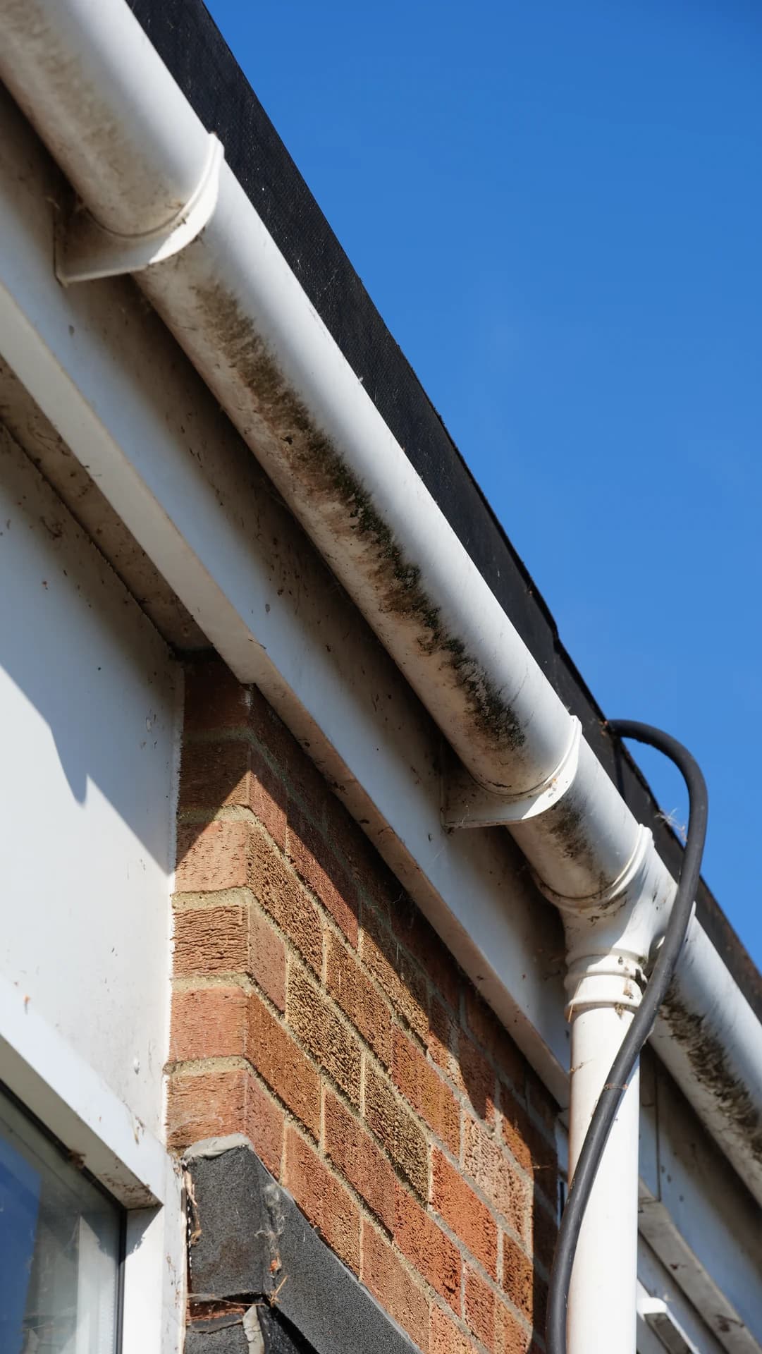 Close low-angle view of a moss/algae-stained white PVC gutter, bracket and downpipe junction on a brick single-storey building.