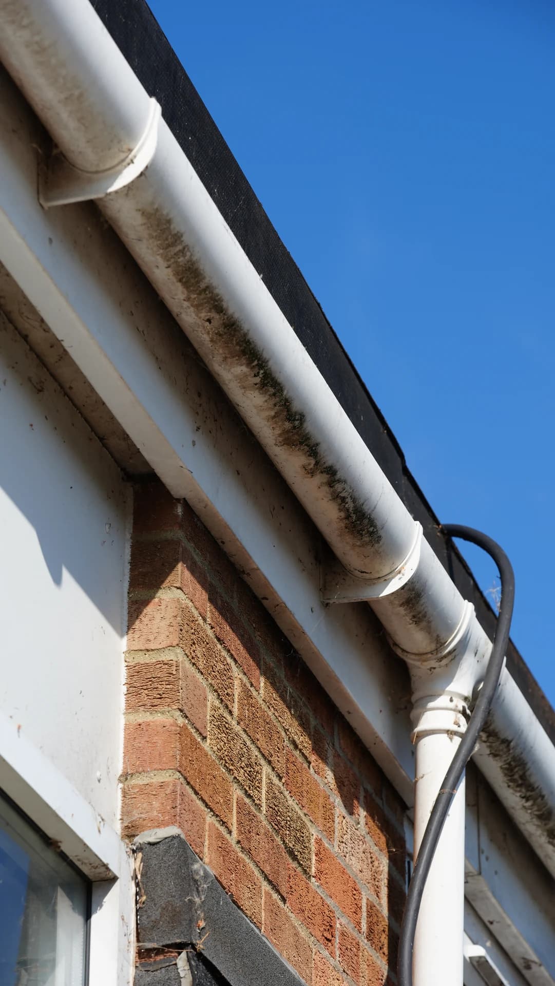Close low-angle view of a moss/algae-stained white PVC gutter, bracket and downpipe junction on a brick single-storey building.