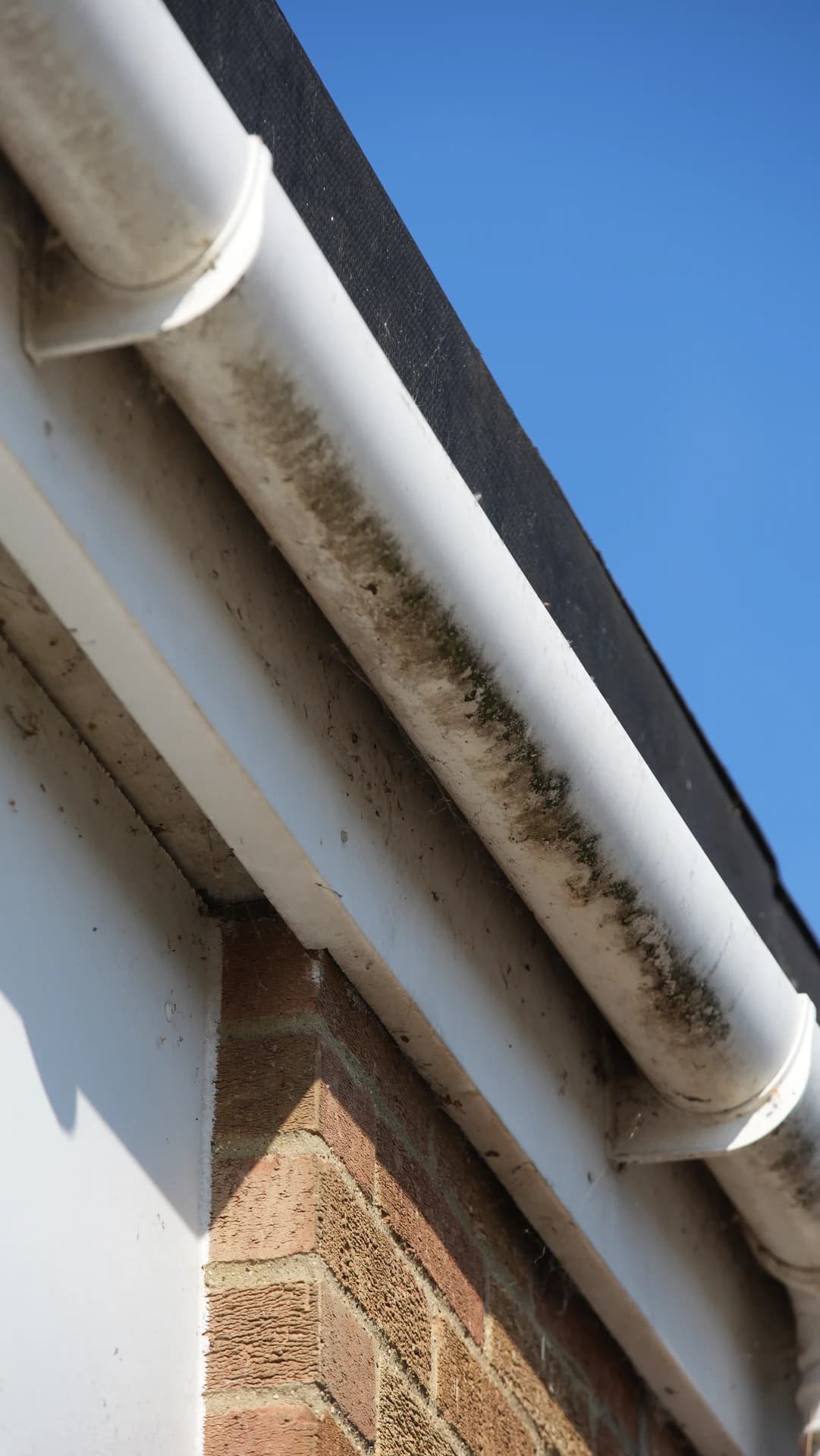 Close low-angle view of a moss/algae-stained white PVC gutter, bracket and downpipe junction on a brick single-storey building.