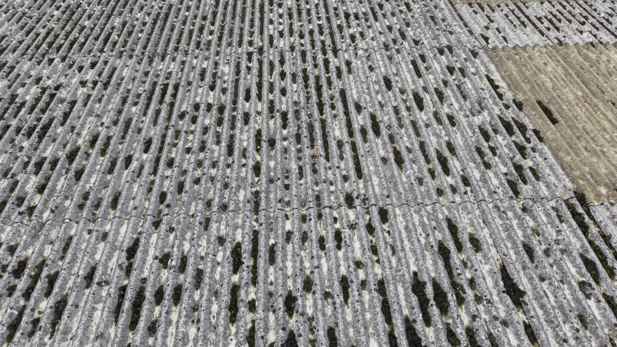 Close oblique aerial view of corrugated fibre-cement sheeting with moss growing in the troughs and patched sheets