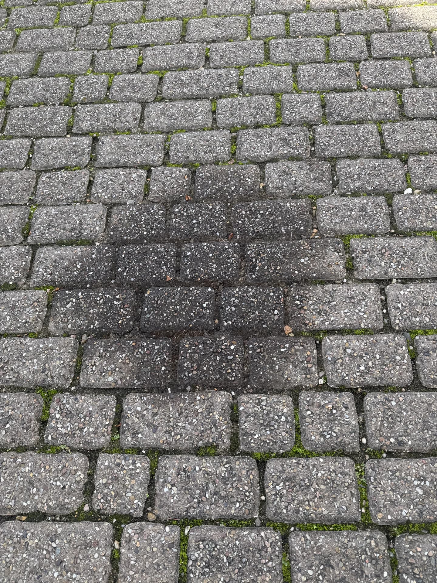 Close view of block paving with a dark stain across several pavers and moss growing in the joints