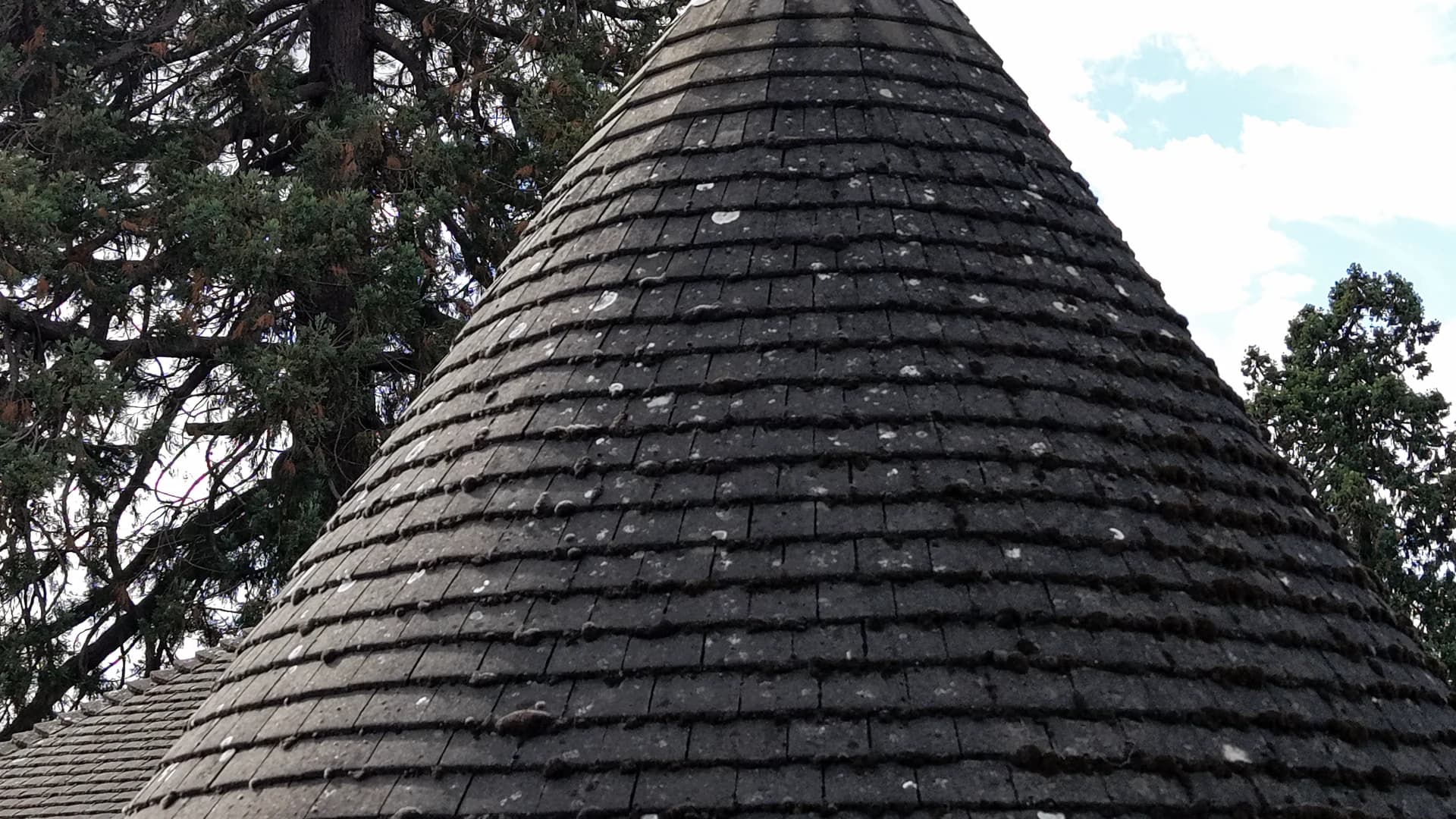 Conical turret roof with lines of moss between the tiles and lichen spotting across the slope