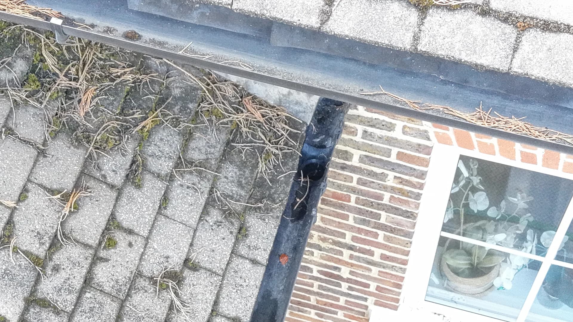 Drone close view of a gutter run with moss and debris along a tile edge and window.