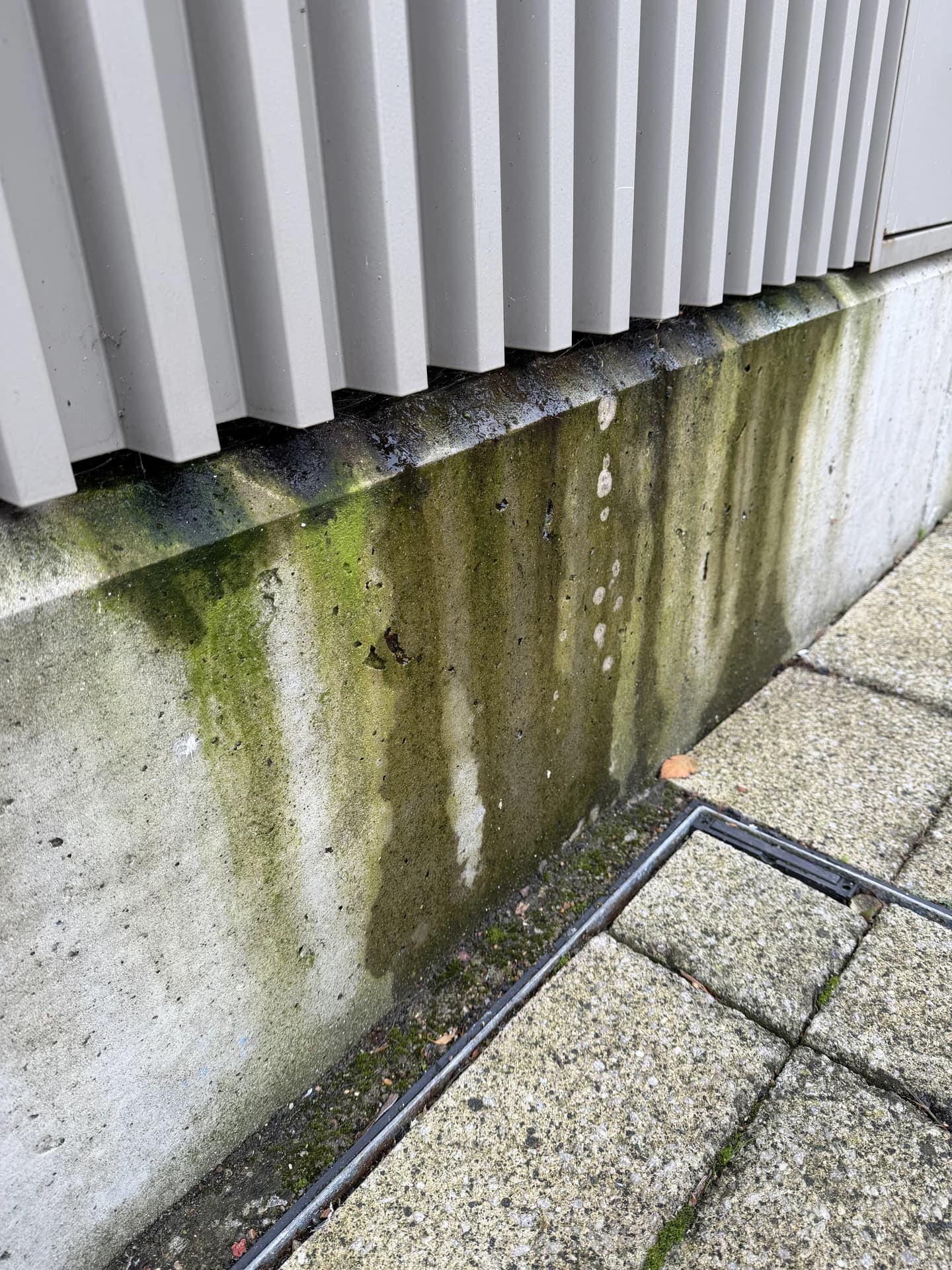 Green algae streaking a concrete plinth below vertically fluted metal cladding, with a drainage channel at its foot