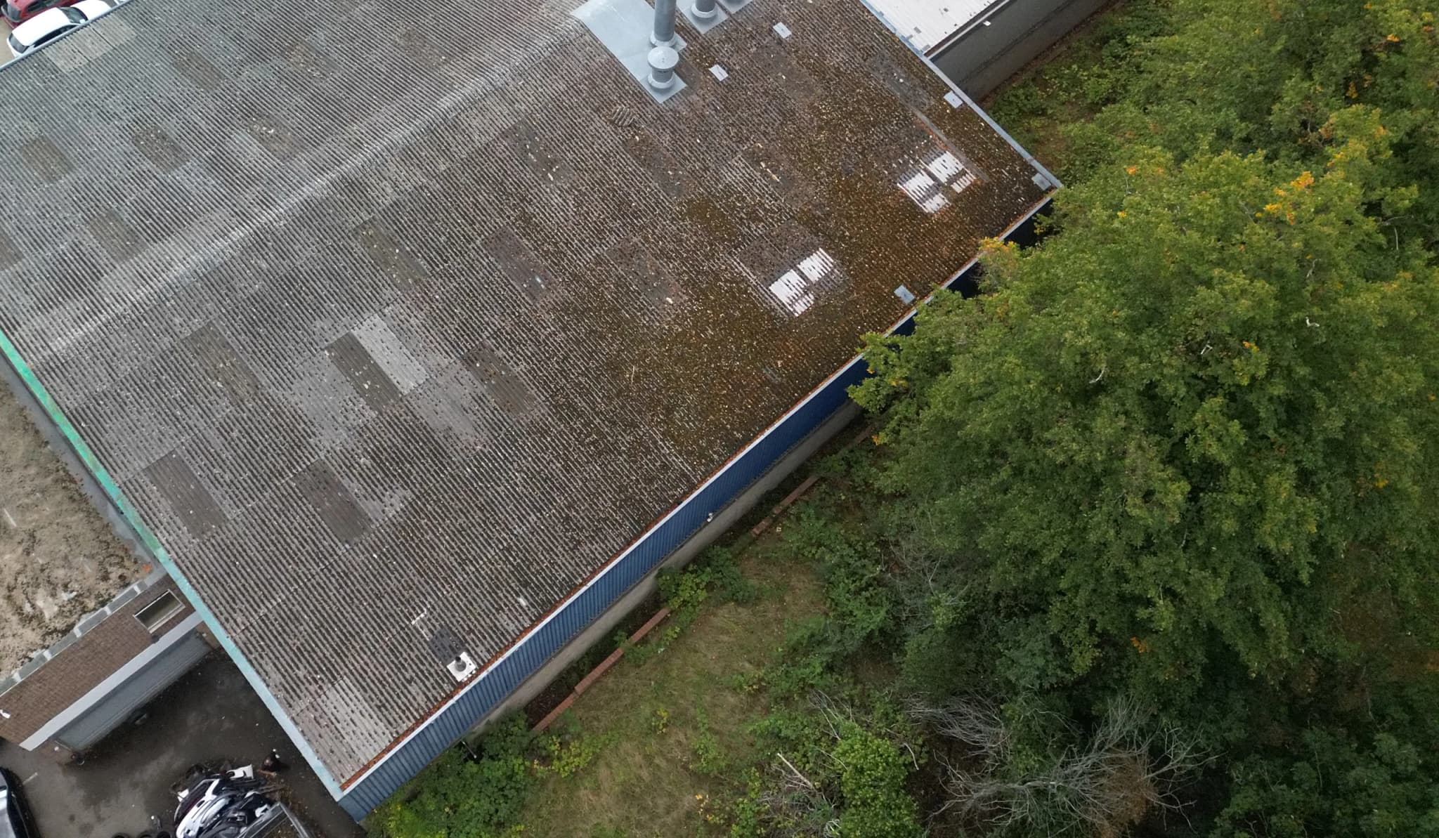 Higher aerial view of an industrial roof, the dark moss-weathered slope against the paler half, trees beside