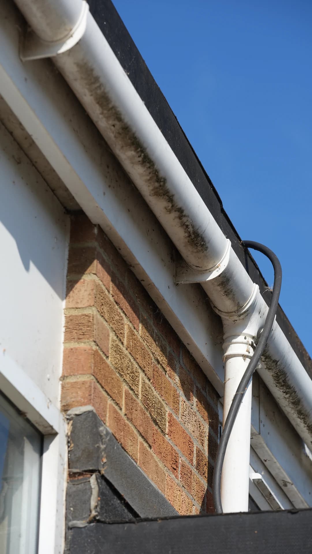 Low-angle close view of a moss and algae-stained white gutter, bracket and downpipe junction on a brick building in clear weather