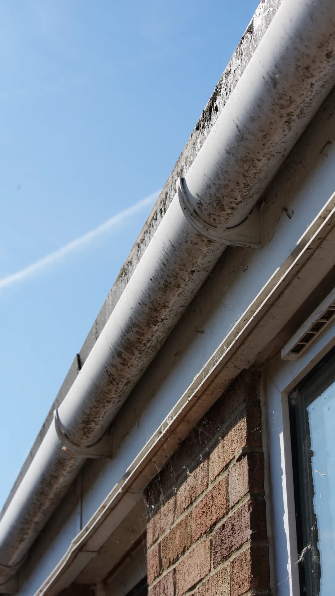 Low-angle diagonal view of a stained, mossy gutter and fascia on a brick building in clear weather