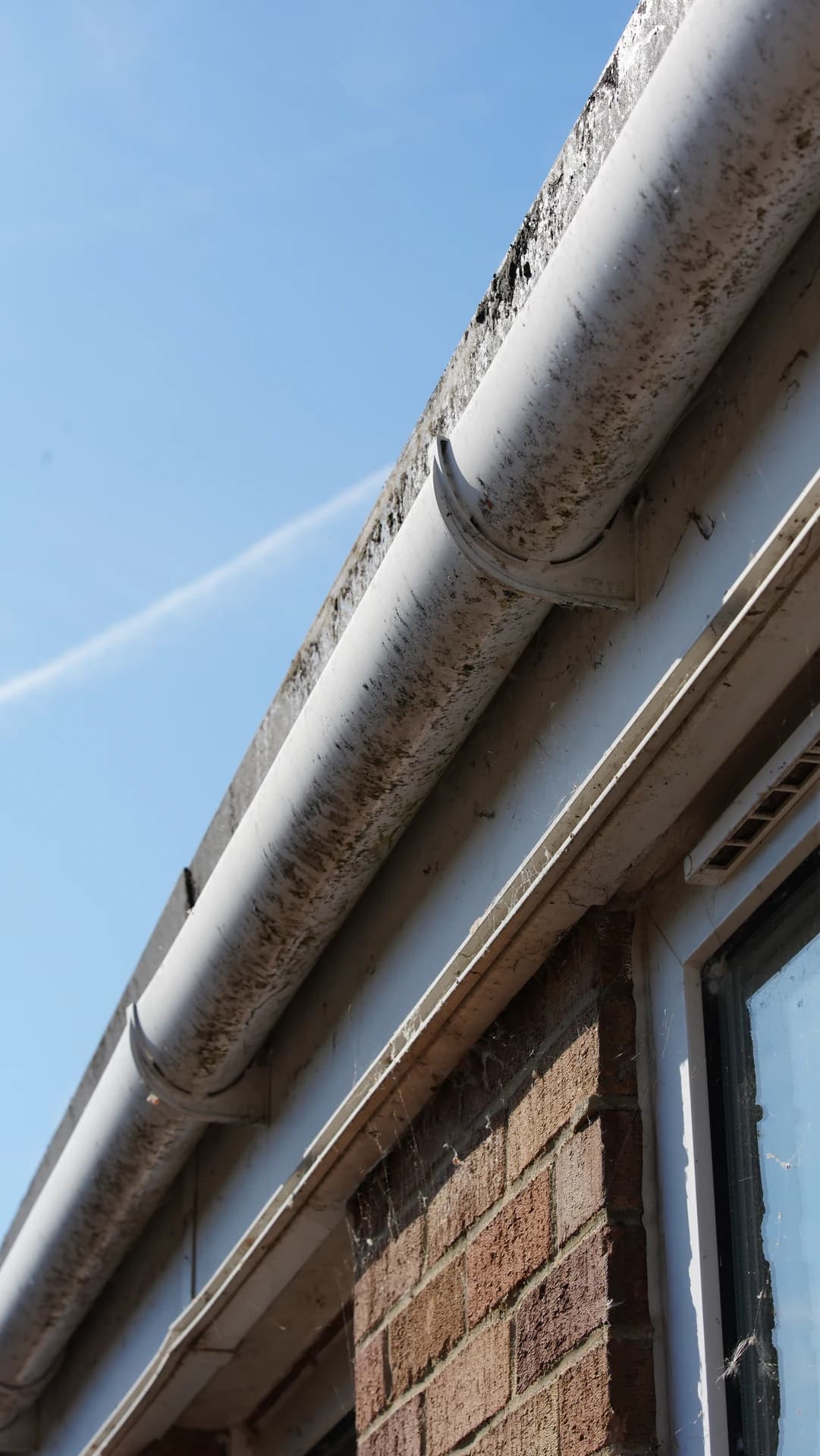 Low-angle diagonal view of a stained, mossy gutter and fascia on a brick building.