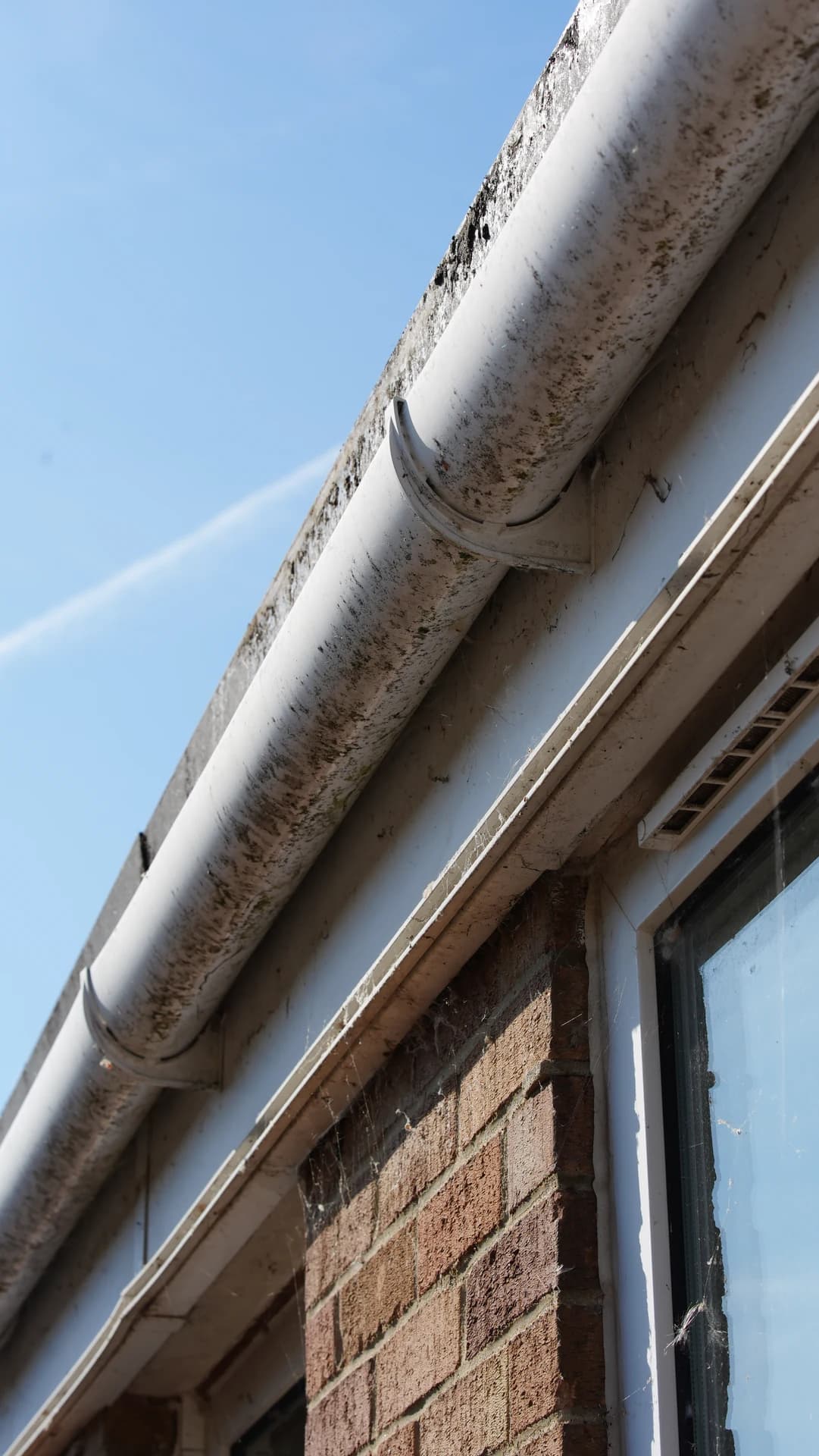 Low-angle diagonal view of a stained, mossy gutter and fascia on a brick building.