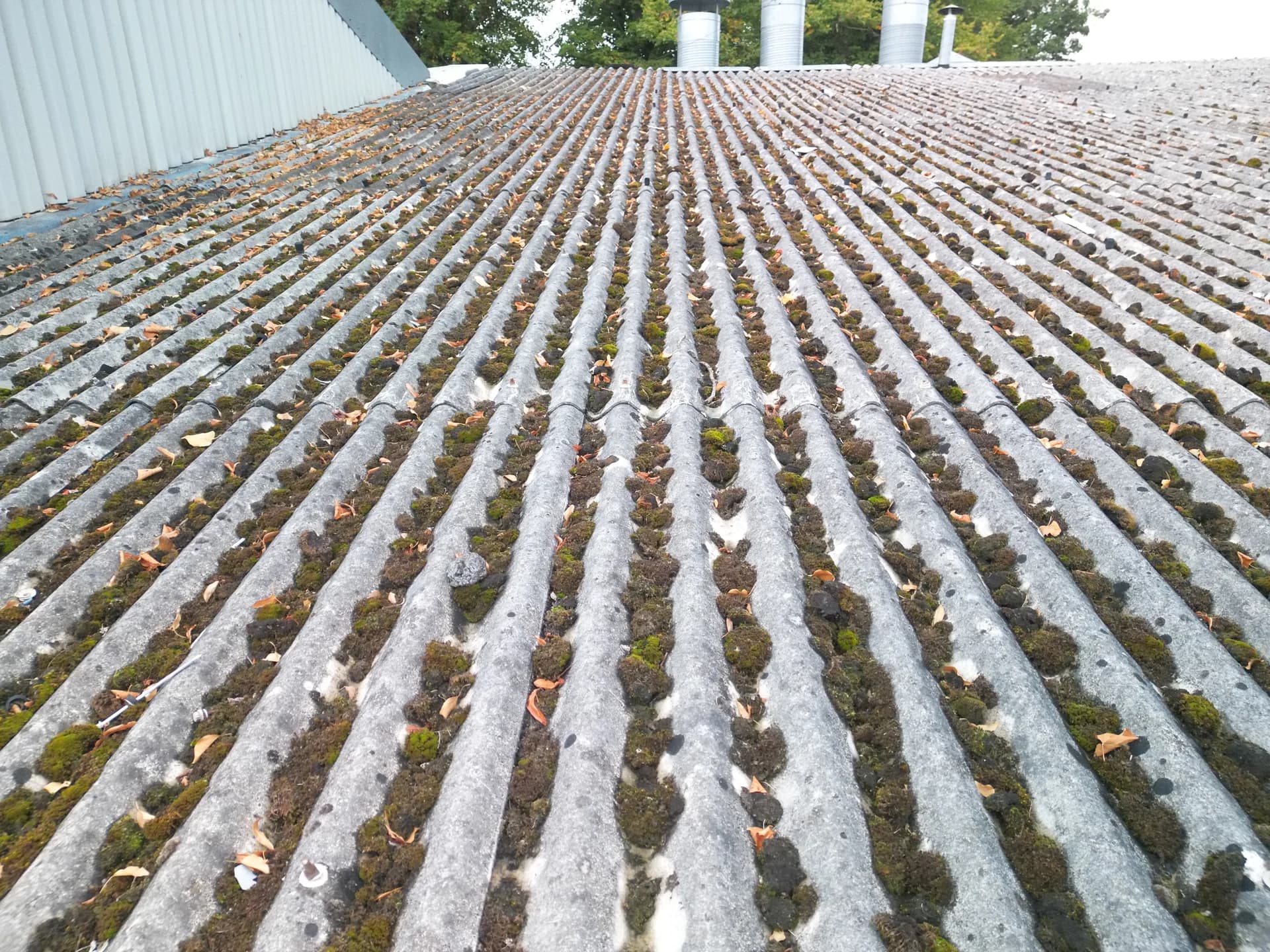 Low oblique view down a roof pitch with moss and leaf litter packed into the troughs