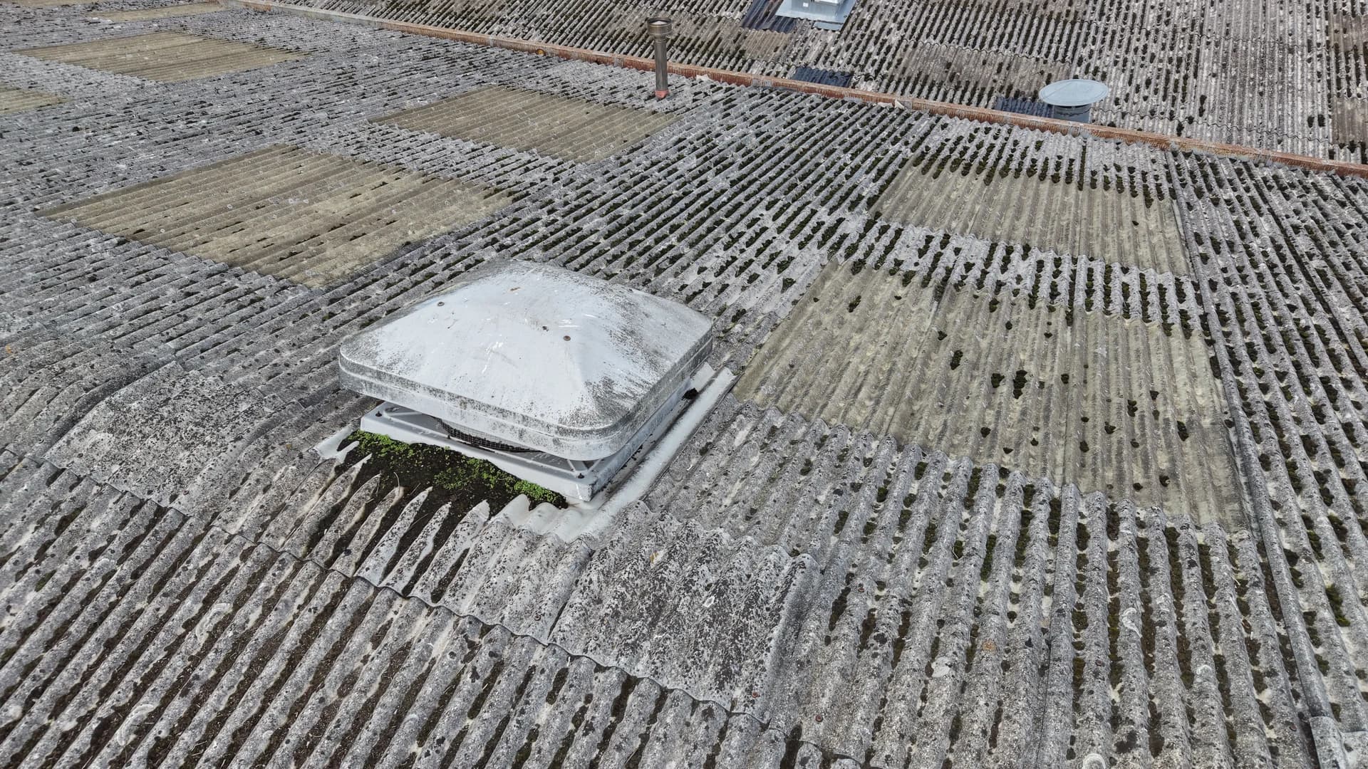 Oblique aerial view of a roof-light vent in mossed fibre-cement roof sheeting with plants at its base